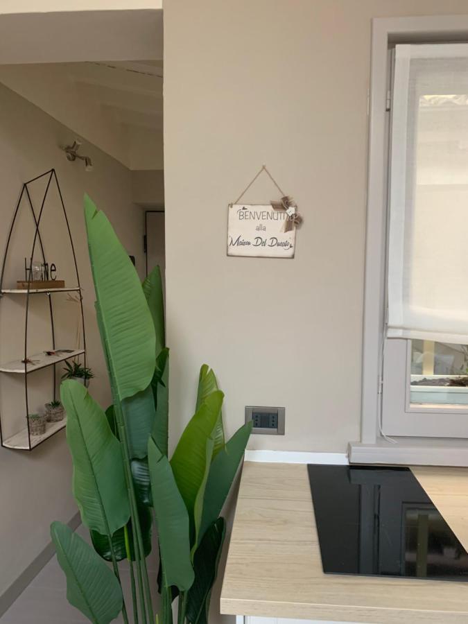 Maison Del Ducato “Cavour 24” ปาร์มา ภายนอก รูปภาพ